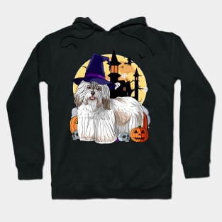 Havanese Dog Halloween Witch Pumpkin Hoodie